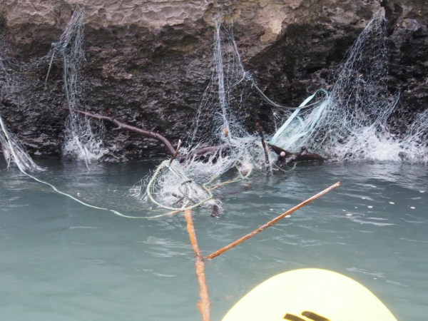 Tangled nets on the rocks
