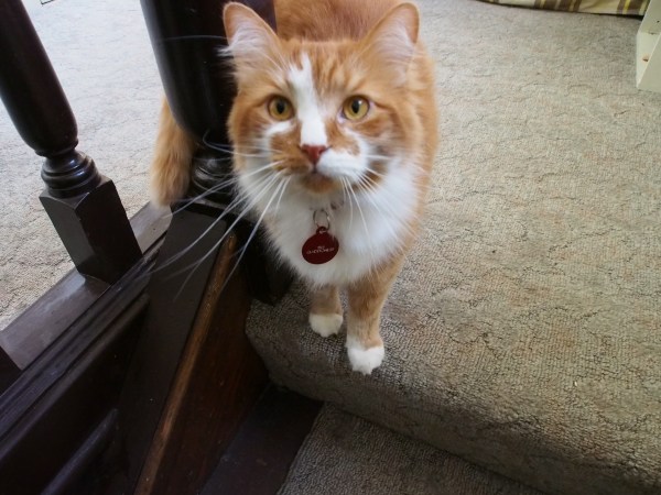 "This is MY home but you are welcome for a short while" - Hubert