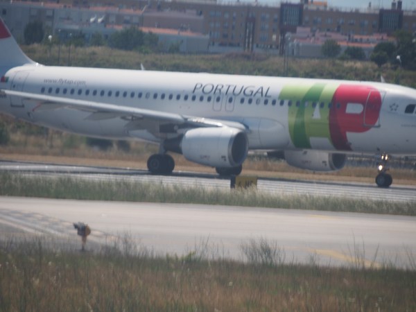Umm, why Portugal Airlines?