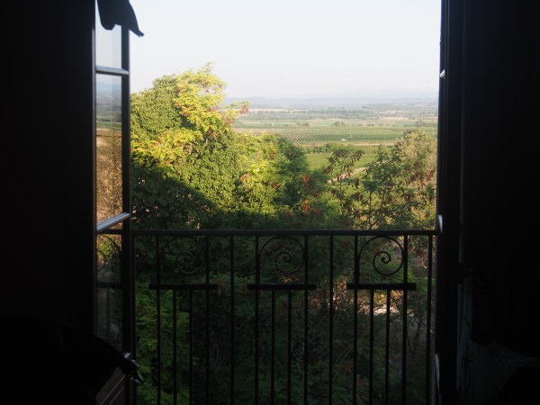 View over the local vineyards
