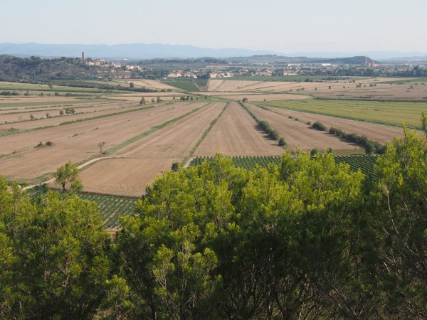 View over the Etang of Montady from the Oppidium d'Enserune