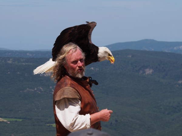 Peyrerpertuse - the falconer