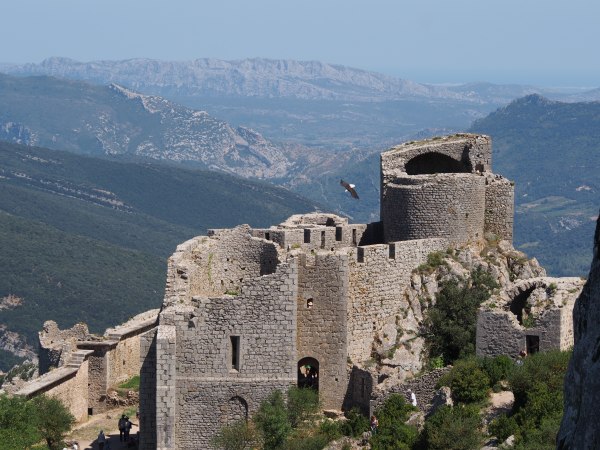 Peyrepertuse - the eagle has escaped and flying free