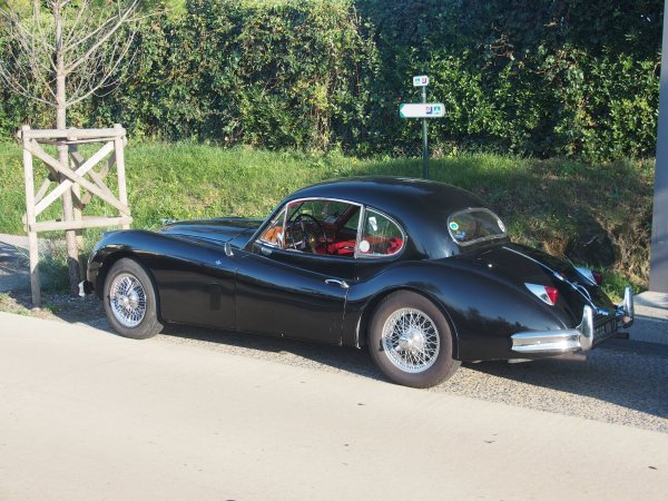 It's actually a jaguar