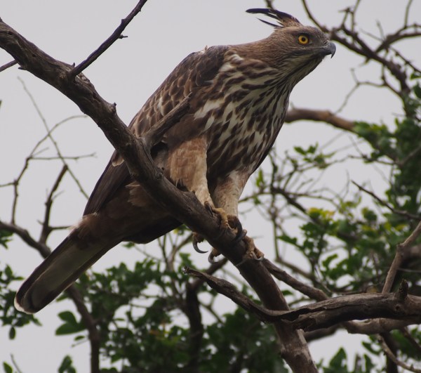 Well, he's not laughing but certainly vigilant