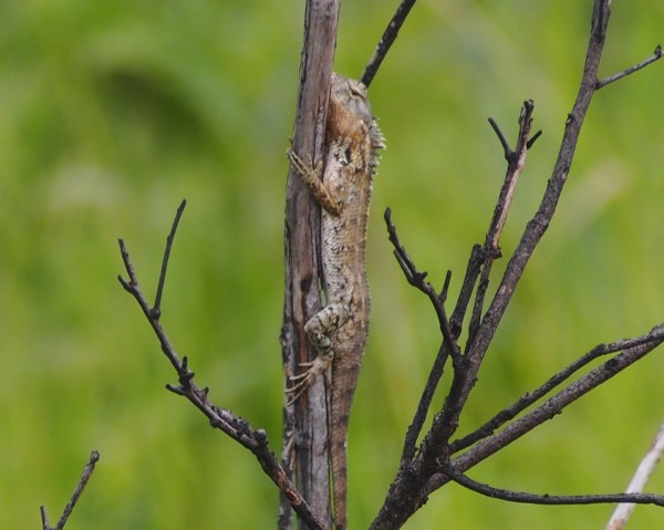 Seems happy on this branch