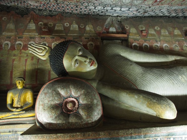 Sleeping or just contemplating