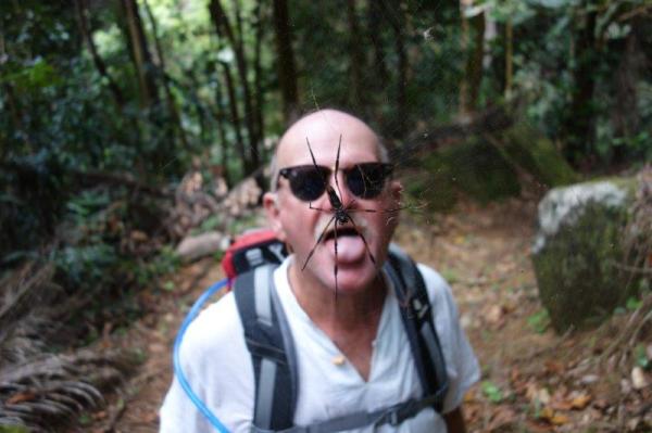 And a spider or two stringing webs across the path to catch tourists