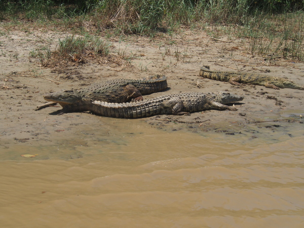 Ah for the sun and some mud