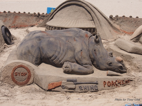 Seen on the beach in Durban