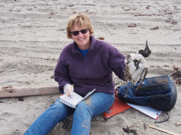 Is this good enough for dinner?