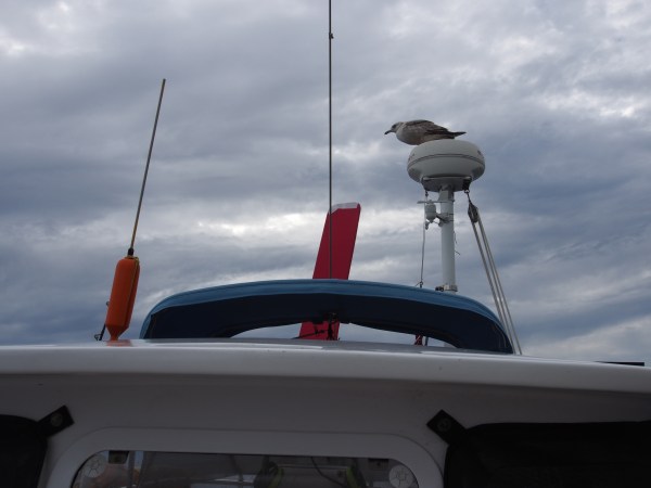 Jonathan without any friends